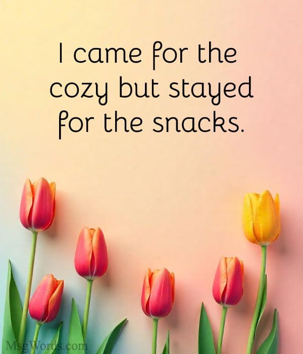 I came for the cozy but stayed for the snacks.