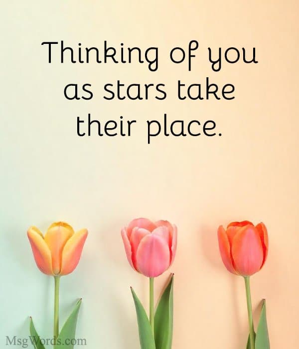 Thinking of you as stars take their place.