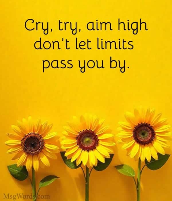 Cry, try, aim high; don’t let limits pass you by.