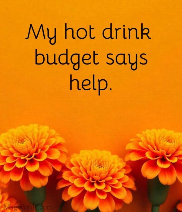 My hot drink budget says help.