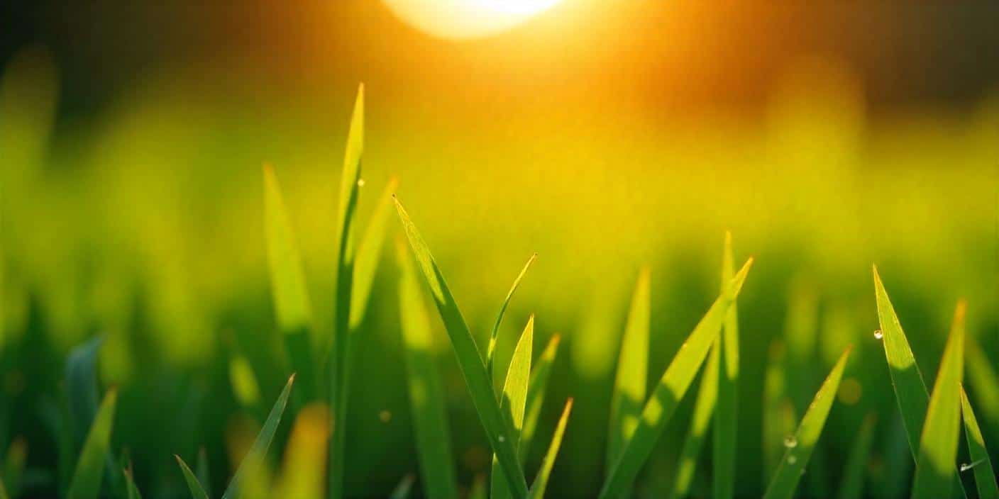 Short September Quotes