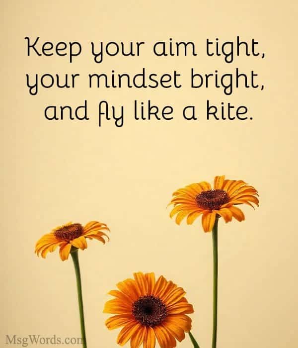 Keep your aim tight, your mindset bright, and fly like a kite.