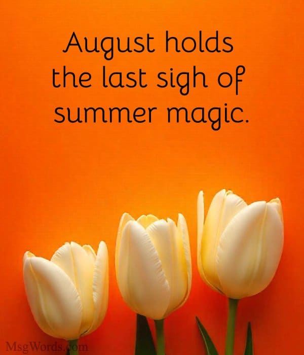 August holds the last sigh of summer magic.