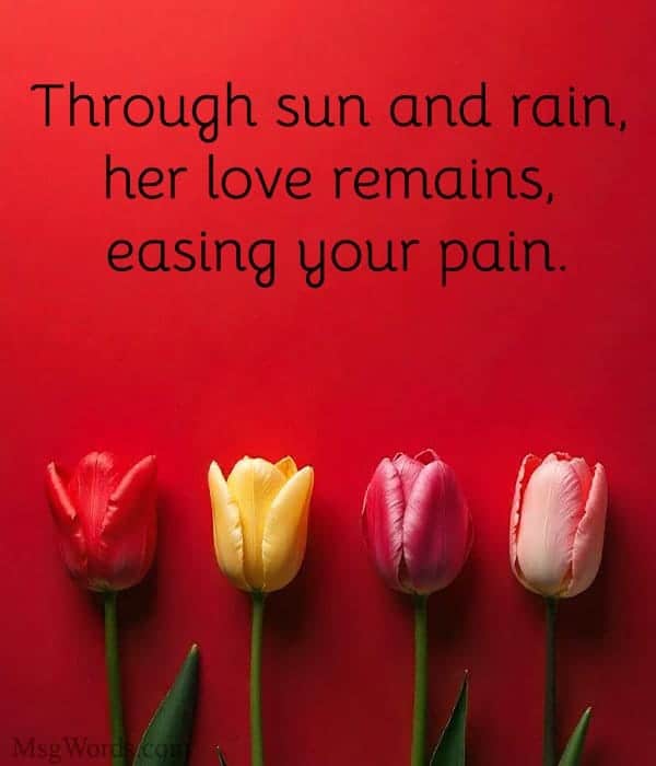 Through sun and rain, her love remains, easing your pain.