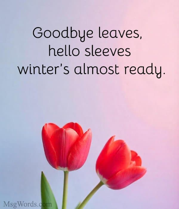 Goodbye leaves, hello sleeves ; winter’s almost ready.