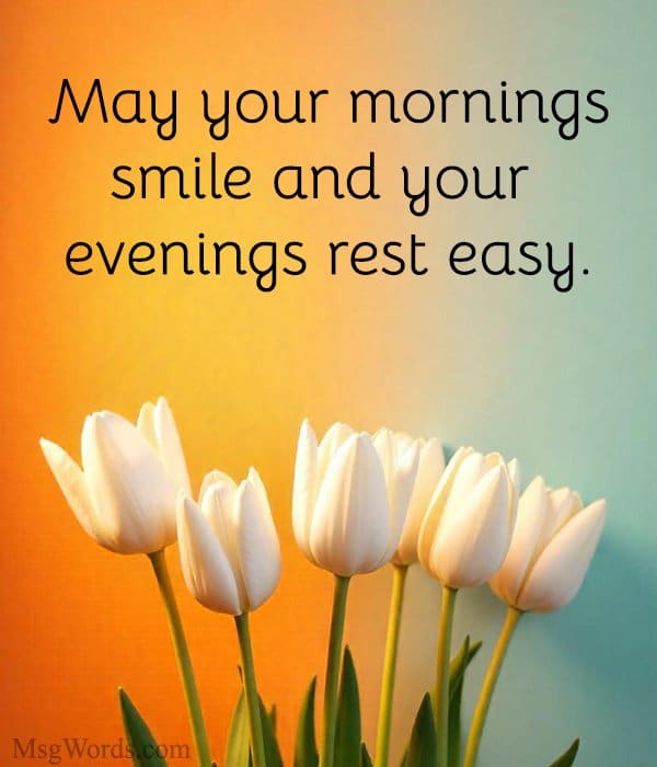 May your mornings smile and your evenings rest easy.