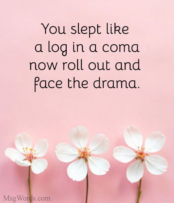 You slept like a log in a coma; now roll out and face the drama.