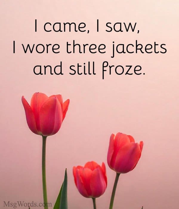 I came, I saw, I wore three jackets and still froze.