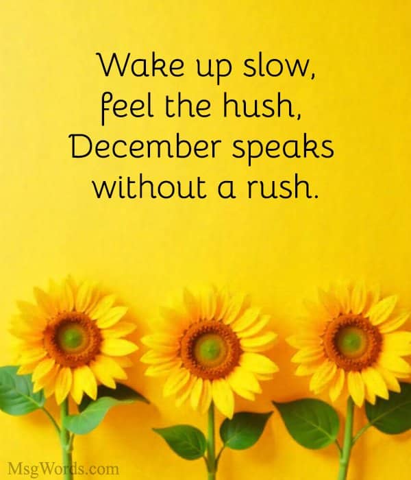 Wake up slow, feel the hush, December speaks without a rush.