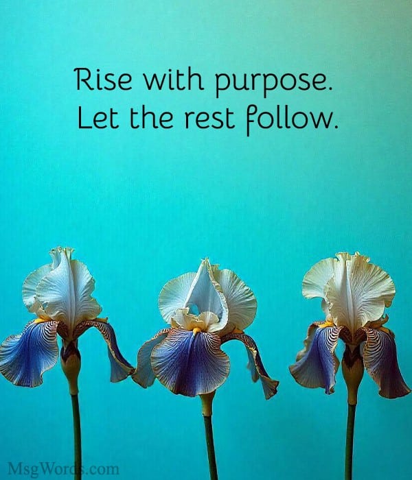 Rise with purpose. Let the rest follow.