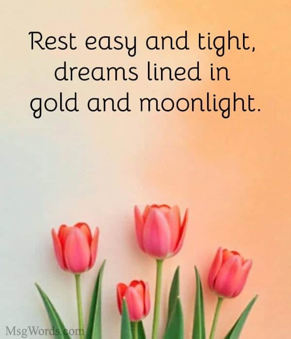 Rest easy and tight, dreams lined in gold and moonlight.