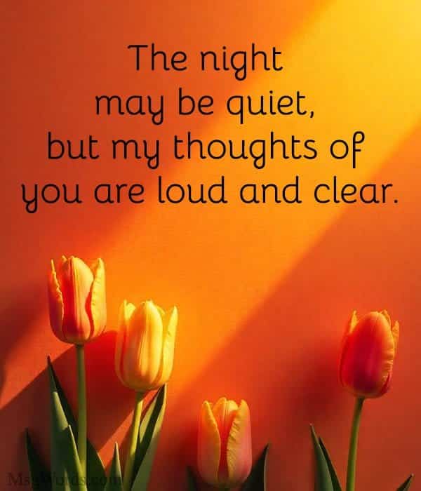 The night may be quiet, but my thoughts of you are loud and clear.