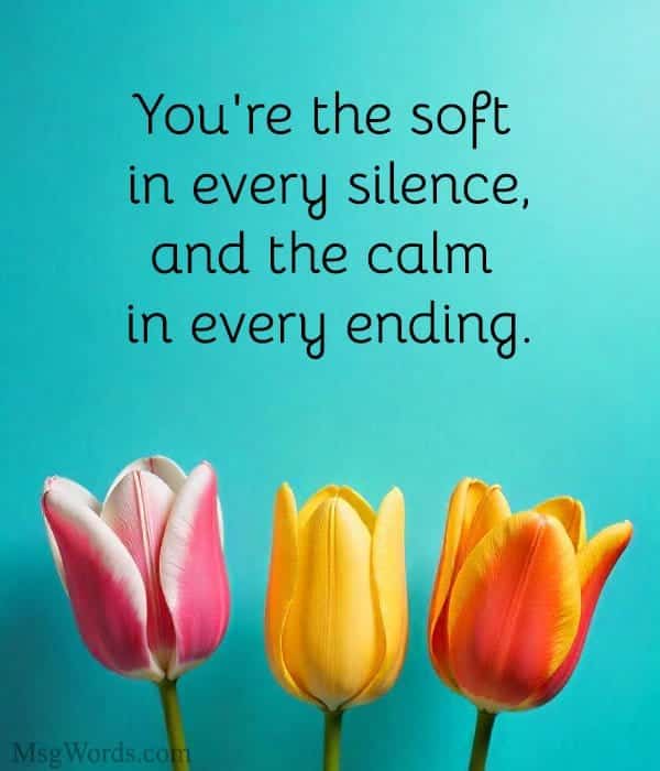 You're the soft in every silence, and the calm in every ending.
