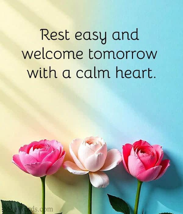 Rest easy and welcome tomorrow with a calm heart.