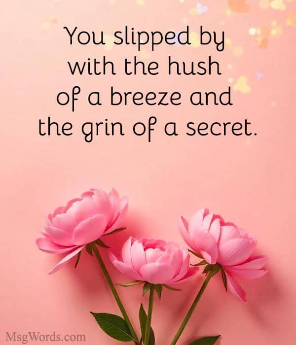 You slipped by with the hush of a breeze and the grin of a secret.