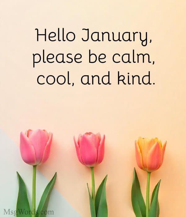 Hello January, please be calm, cool, and kind.