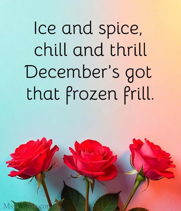 Ice and spice, chill and thrill; December’s got that frozen frill.