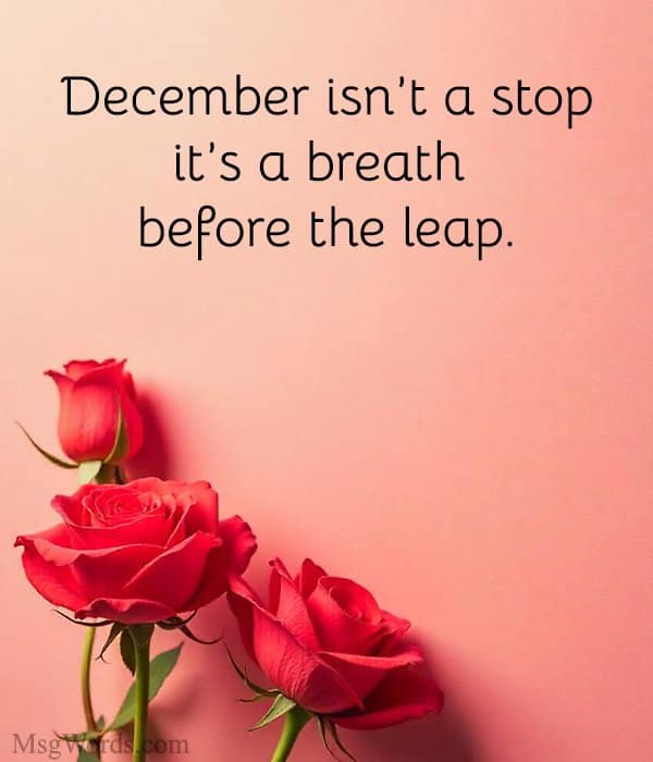 December isn’t a stop; it’s a breath before the leap.