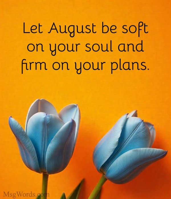 Let August be soft on your soul and firm on your plans.