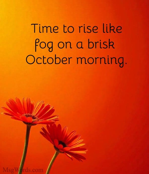 Time to rise like fog on a brisk October morning.