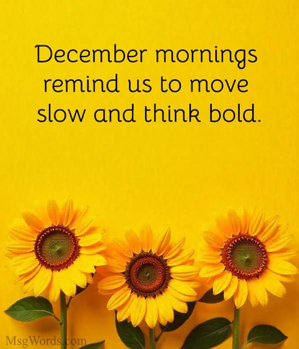 December mornings remind us to move slow and think bold.