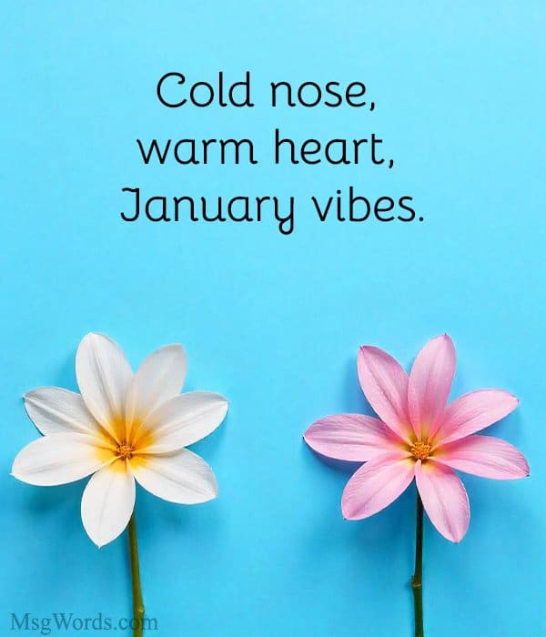 Cold nose, warm heart, January vibes.