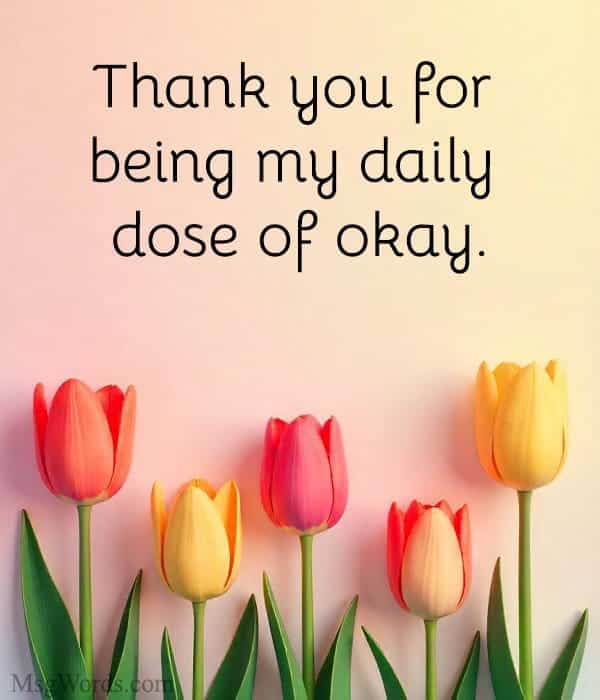 Thank you for being my daily dose of okay.