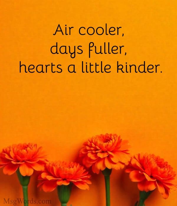Air cooler, days fuller, hearts a little kinder.