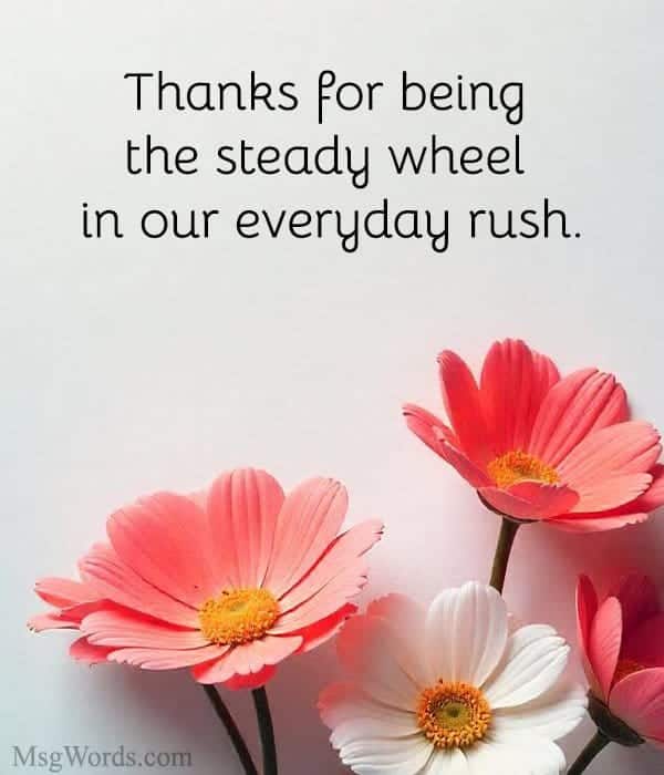 Thanks for being the steady wheel in our everyday rush.