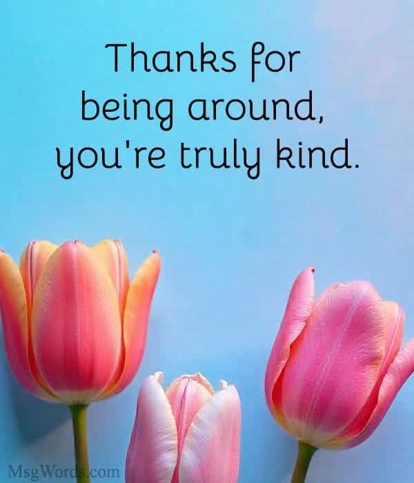 Thanks for being around, you're truly kind.