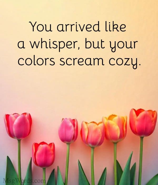 You arrived like a whisper, but your colors scream cozy.