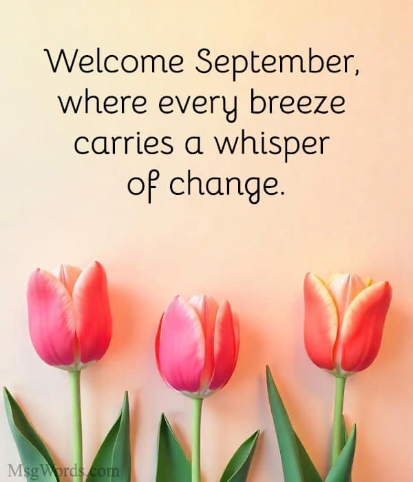 Welcome September, where every breeze carries a whisper of change.