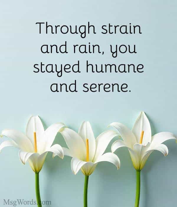 Through strain and rain, you stayed humane and serene.