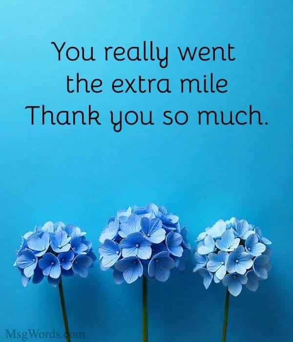 You really went the extra mile. Thank you so much.