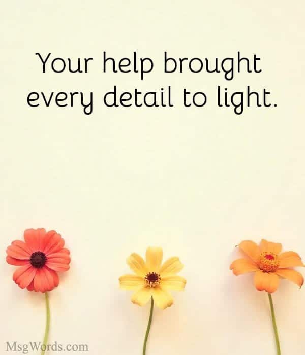 Your help brought every detail to light.
