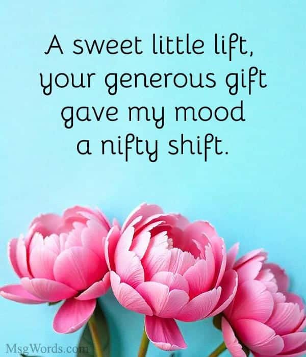 A sweet little lift, your generous gift; gave my mood a nifty shift.