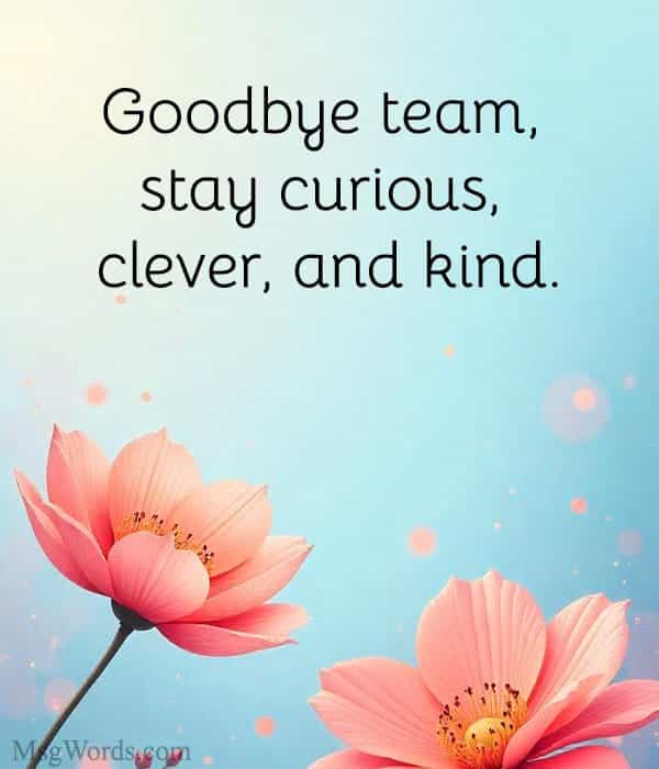 Goodbye team, stay curious, clever, and kind.
