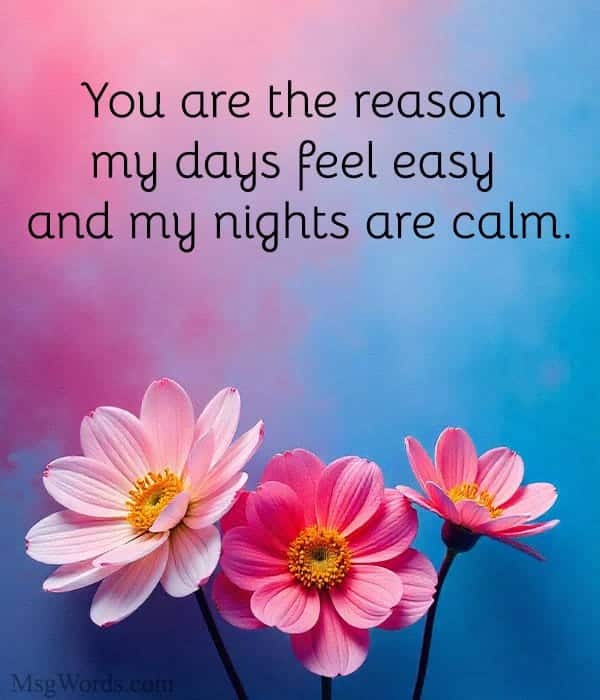 You are the reason my days feel easy and my nights are calm.