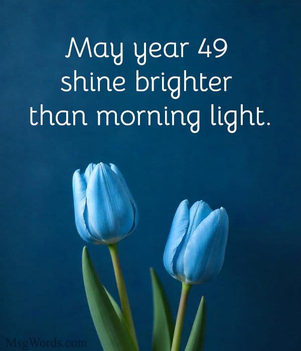 May year 49 shine brighter than morning light.
