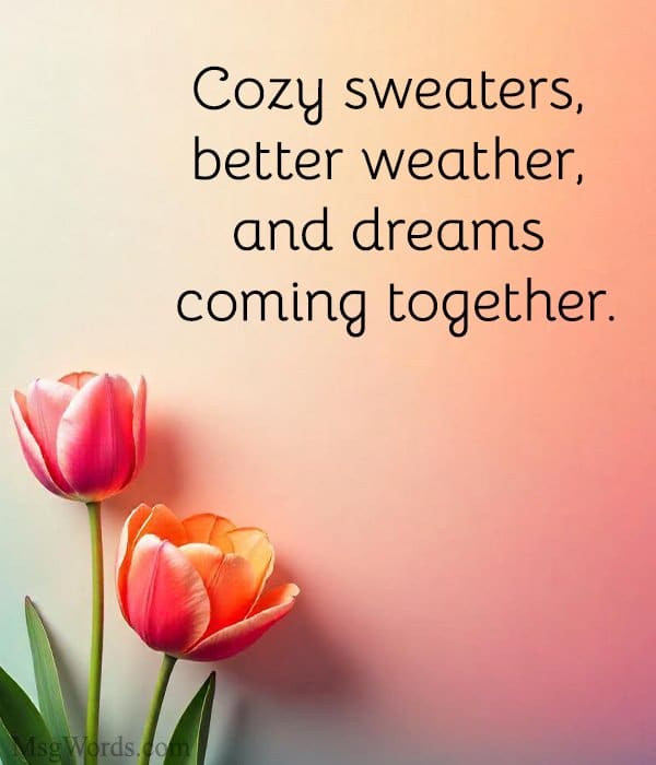 Cozy sweaters, better weather, and dreams coming together.