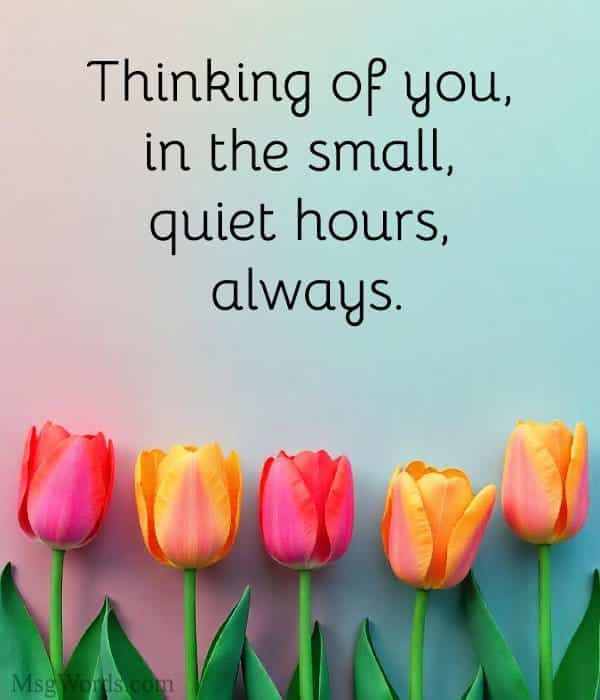 Thinking of you, in the small, quiet hours, always.