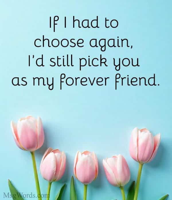 If I had to choose again, I’d still pick you as my forever friend.
