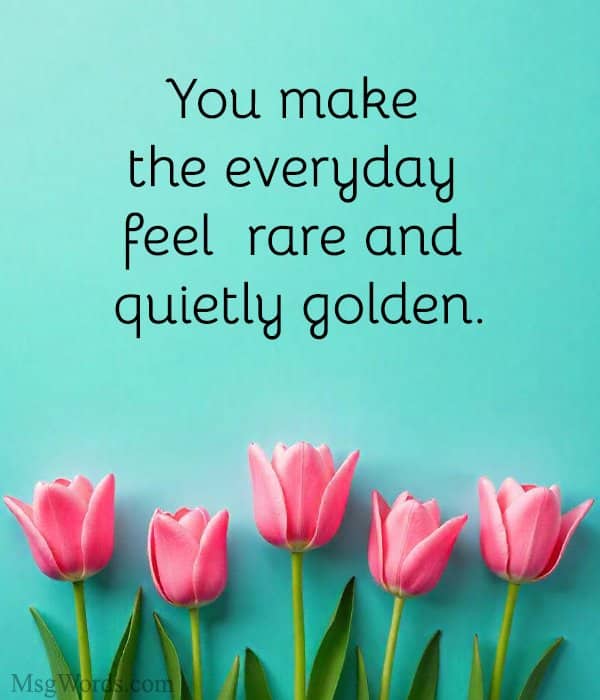 You make the everyday feel rare and quietly golden.