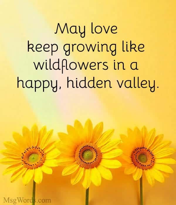May love keep growing like wildflowers in a happy, hidden valley.