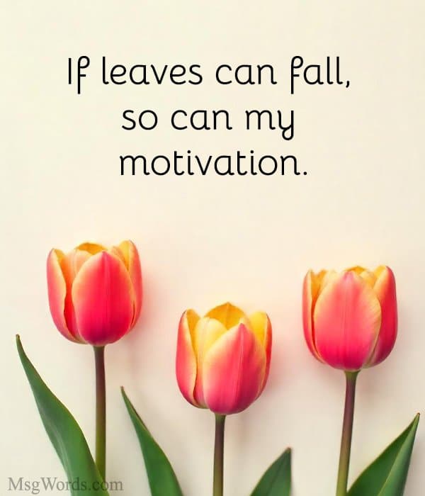 If leaves can fall, so can my motivation.