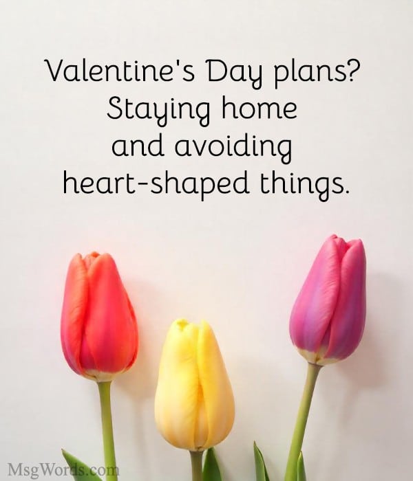 Humorous illustration capturing funny anti-Valentine's Day quotes with a playful twist.