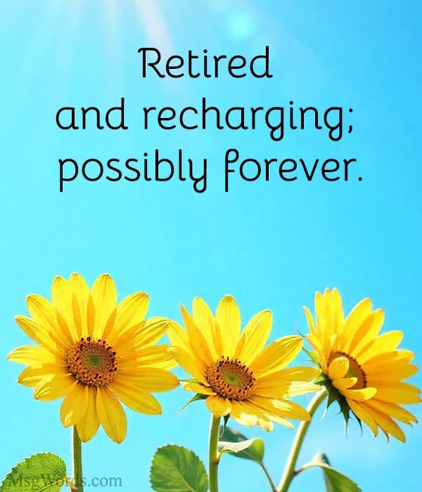 Retired and recharging; possibly forever.