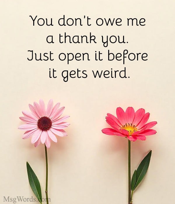 You don’t owe me a thank you. Just open it before it gets weird.