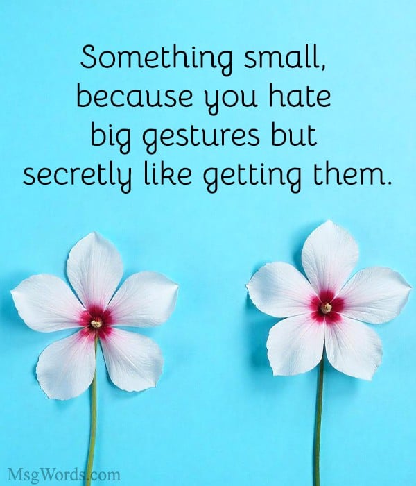 Something small, because you hate big gestures but secretly like getting them.