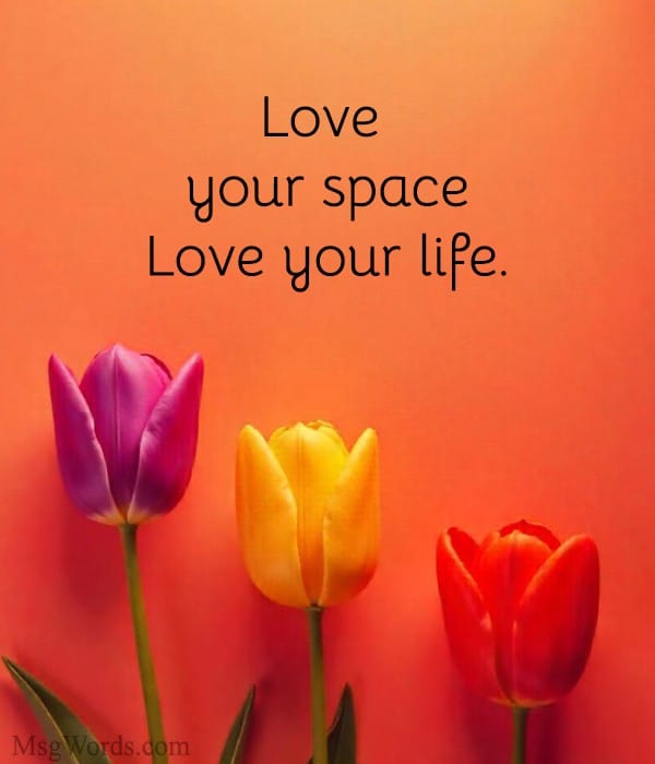 Realtor Valentine's Day Instagram image with a floral background.